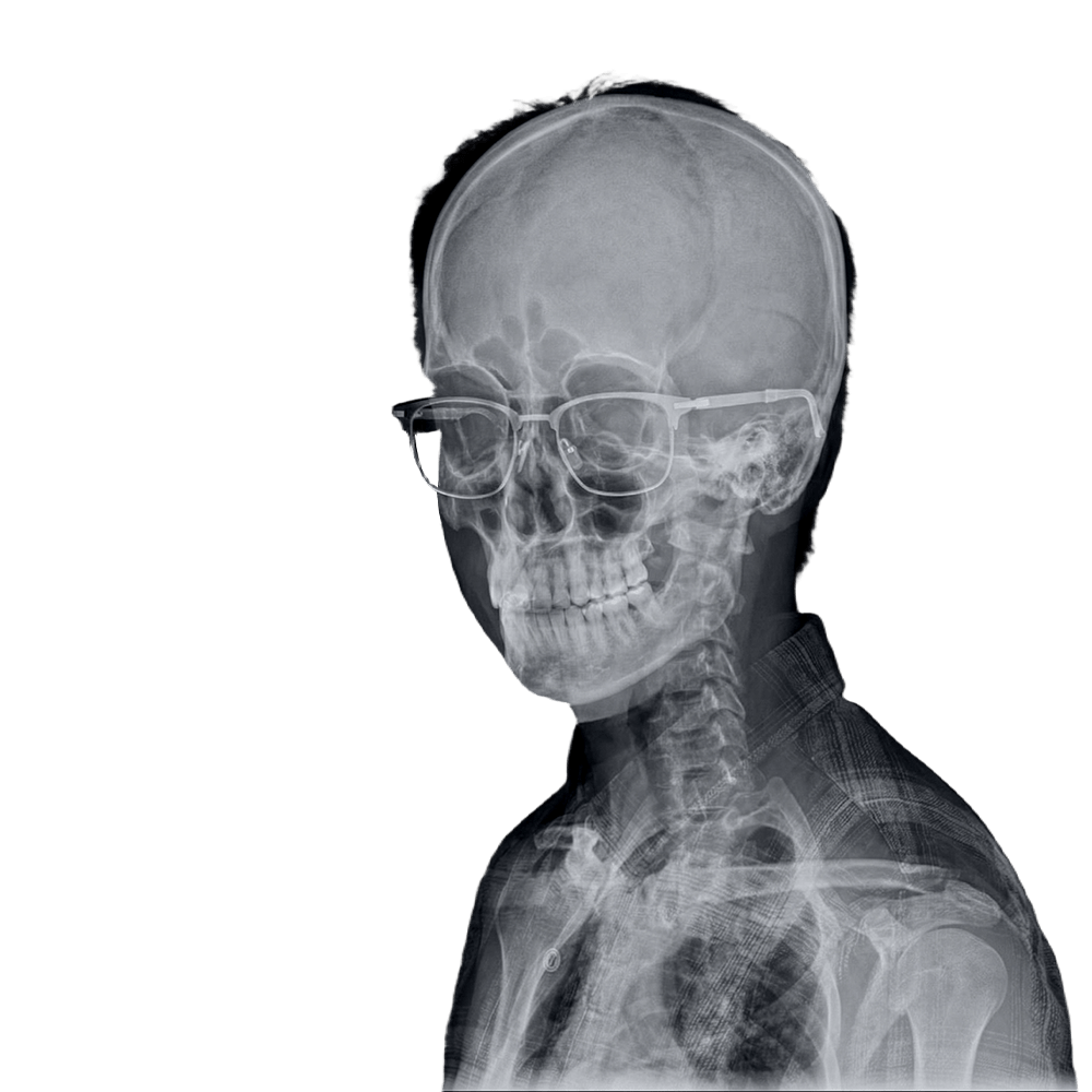 Portrait Reveal Base Dark